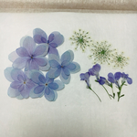 再販×3‼︎ 押し花素材