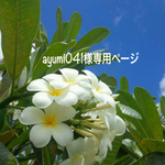 ＊ayumi041様専用ページ＊
