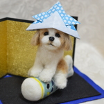 シーズーちゃんの五月人形　（こいのぼり大）