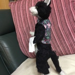 バーテンダー猫モヘアバージョン