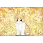 再販　猫時間。茶トラ白猫セット　ポストカードとマグネット。
