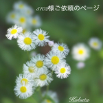 5102様ご依頼のページ