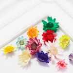 【送料無料】ミニチュアフラワー　立体押し花　12色セット　パーツ 素材 材料 レジン 封入 ドライフラワー