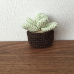ちいさな植物 ダークブラウン