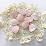 [再販]コンクシェル10pieces