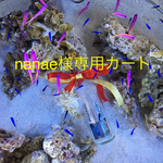 nanae様専用ページ