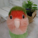 〔2057hksk様専用ページ〕桜インコちやん