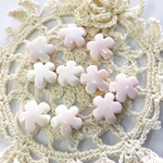 [再販]コンクシェル10pieces