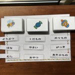 分類カードセット