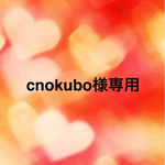 ☆cnokubo様専用☆