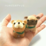 ちょこんとパグさん☆