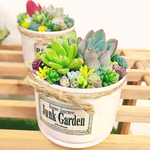 多肉植物♡可愛いリメ缶寄せ植え