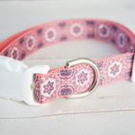 【sale】大型犬★マジカル★首輪