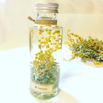 Mimosa