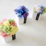 NATURAL  “ajisai cube” 3color  小さなあじさいのインテリア