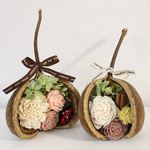 ブッダナッツの大小アレンジ 　２個セット