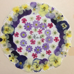♡sale♡¥1000→¥800 送料無料 押し花セット