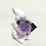 かわいいウサギのアレンジ