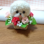 m44940715様 専用 お花いっぱいわんちゃん