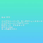 minne オーダー品