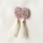 milky×lace purple