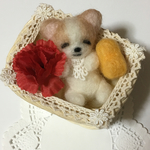 おやすみチワワ 母の日にも  羊毛フェルト