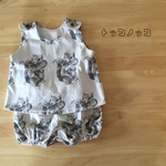 りすのセットアップ