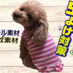 ひんやり！防蚊ぱっちん♪ワンピ（ピンク）