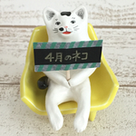 プラカード持ったくつろぎネコ
