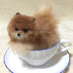 羊毛フェルトのティーカップポメラニアン