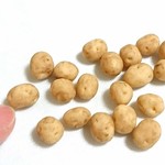【再販】採れたてじゃがいも20個1セット(ミニチュア粘土)