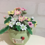 春が来た！