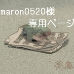 maron0520様専用ページ