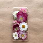 iphone7/6/6S  ビオラの押し花スマホケース