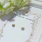 silver☆一粒の輝き☆crystalピアス&イヤリング