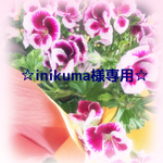 ☆inikuma様専用ページ☆