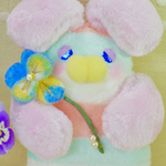 *朝露ビオラのネムネムポンさん②*
