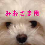 みおさまオーダー用