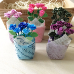 送料無料 ミニチュア 薔薇の鉢植え セット