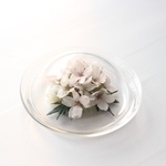 ボトルフラワー　さくら・ 桜（ソメイヨシノ）
