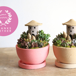 【母の日ご予約】復刻！マカロンピンク多肉植物箱庭風寄せ植え