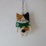 ふろしき猫（三毛）