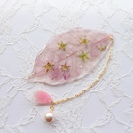 咲き誇る桜☆しおり