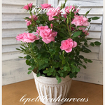 ピーチ姫の贈り物♪