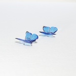 《再販×5》≪1㎝未満≫モルフォ蝶のピアス／イヤリング(C01)