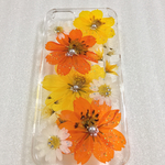 【manaco1229様ご専用】押し花素材✨黄花コスモスとノースポール✨iPhone 6s ケース