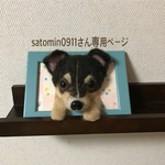 額縁犬オーダー 羊毛フェルト