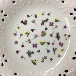 アリッサム21(押し花)