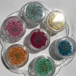 レースフラワー/7色70枚🌈限定1セット(๑>◡<๑)/《2.5cm前後》押花ハンドメイド(๑>◡<๑)/円形ケース付
