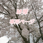 M様専用ページ